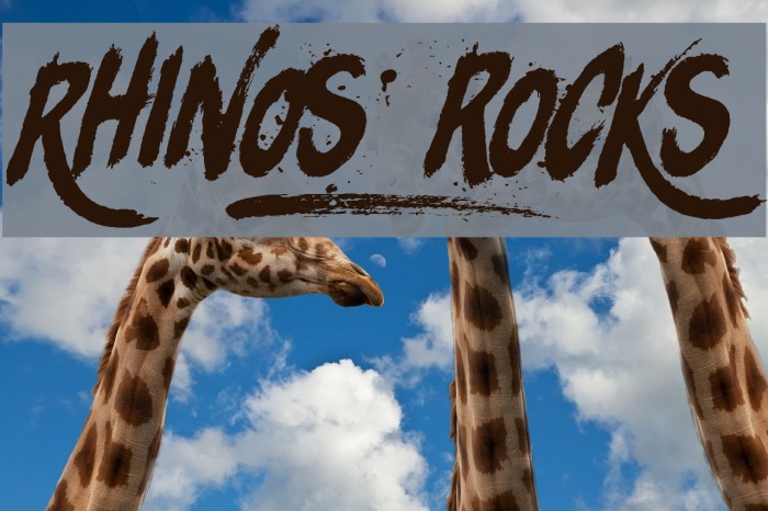 Rhinos rocks Example 3