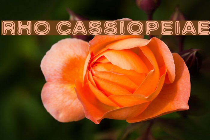 Rho Cassiopeiae Font examples