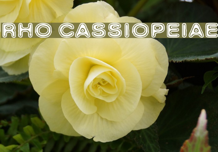 Rho Cassiopeiae Font examples