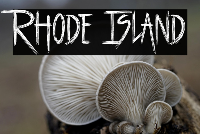 Rhode Island Example 1