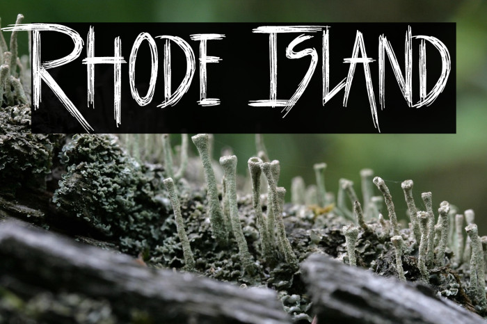 Rhode Island Example 3