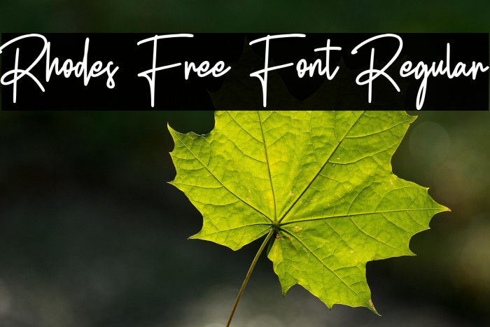 Rhodes Free Font Regular Example 1