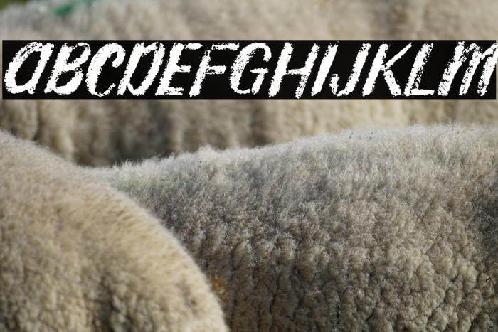 Rhodyn Chalk Example 3