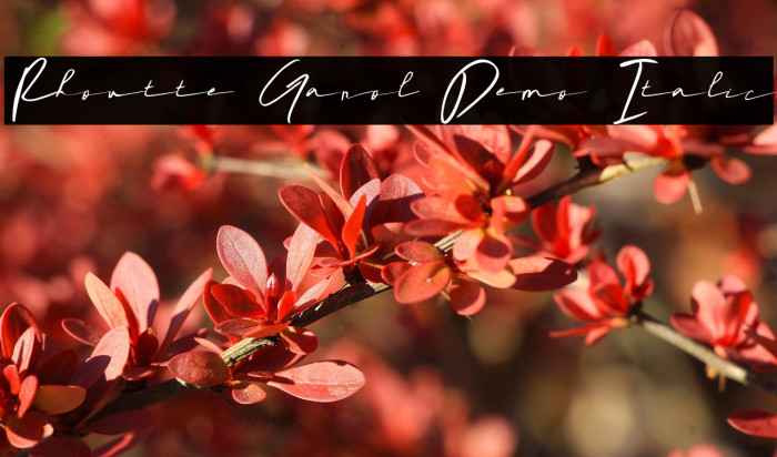 Rhoutte Ganol Demo Italic Example 3