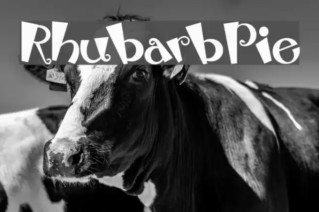 RhubarbPie Font examples