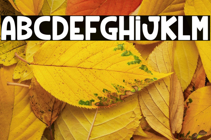 Rhum Banane_PersonalUseOnly Example 2