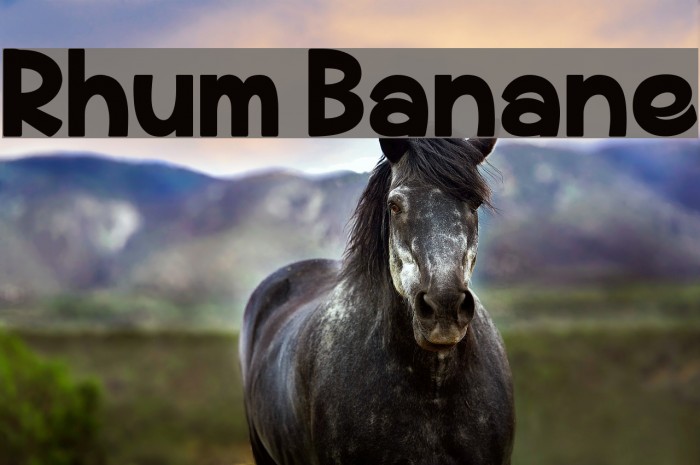Rhum Banane Font examples