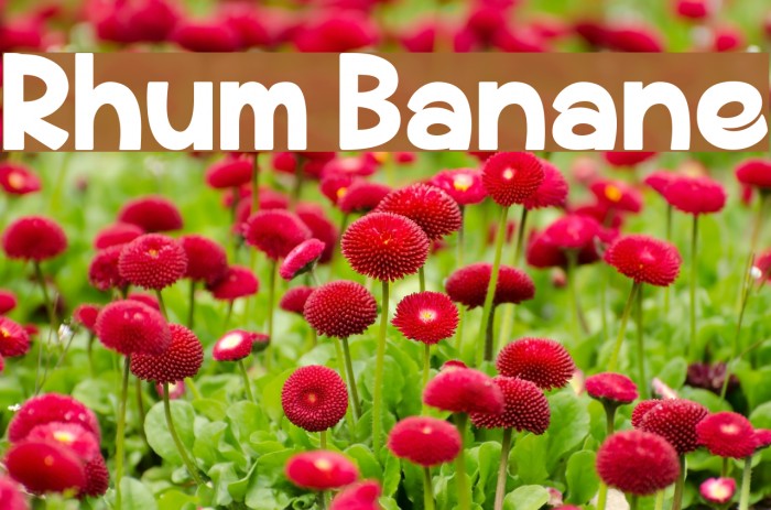Rhum Banane Font examples