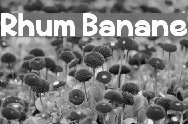 Rhum Banane Шрифта examples
