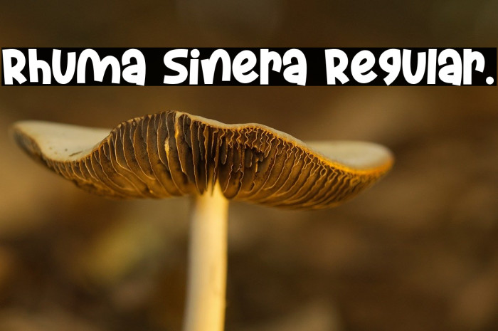 Rhuma Sinera Regular. Example 3