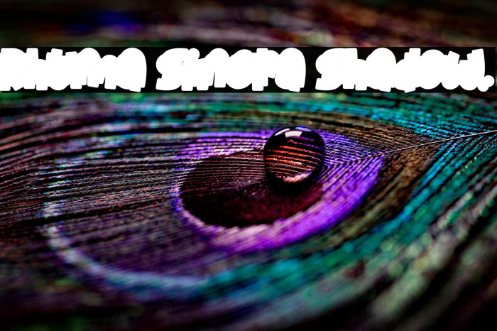 Rhuma Sinera Shadow. Example 2