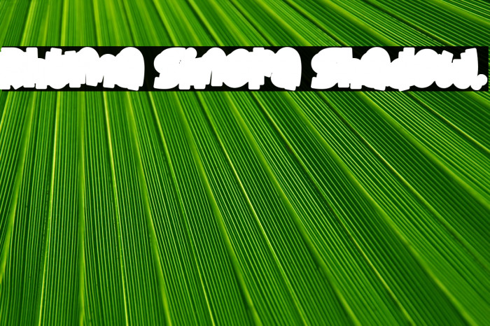 Rhuma Sinera Shadow. Example 3