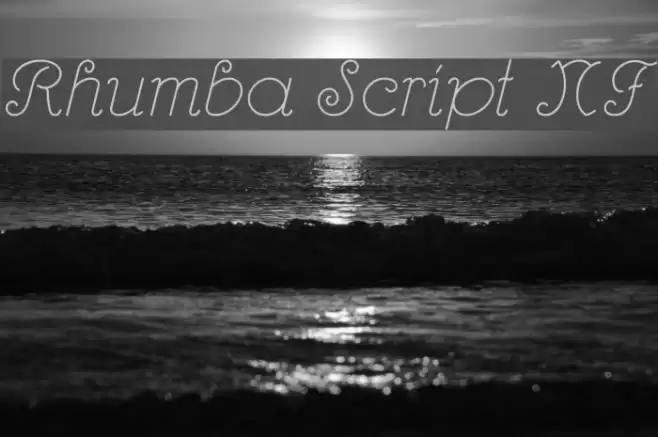 Rhumba Script NF Font examples