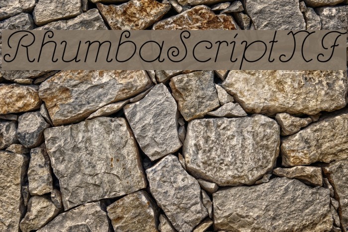 RhumbaScriptNF Font examples