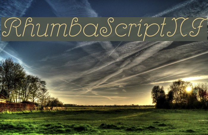 RhumbaScriptNF Font examples