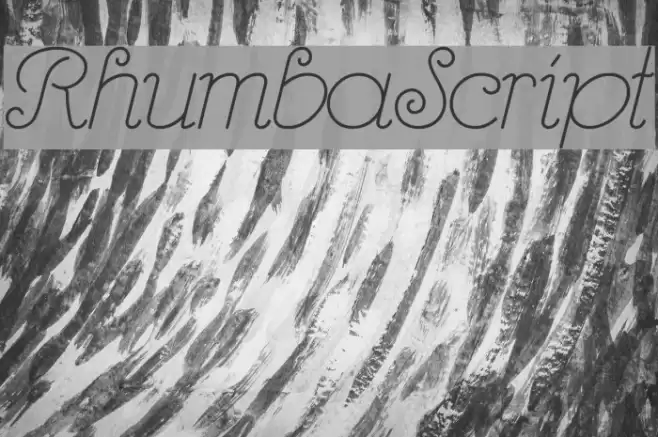 RhumbaScript Font examples