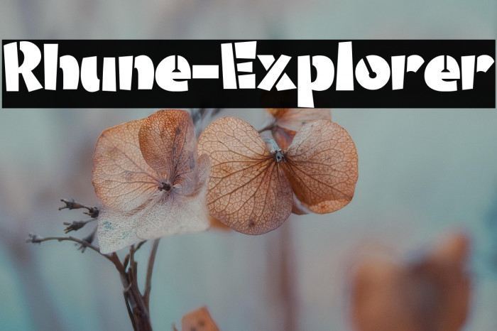 Rhune-Explorer Example 1