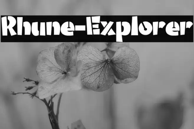 Rhune-Explorer Font examples