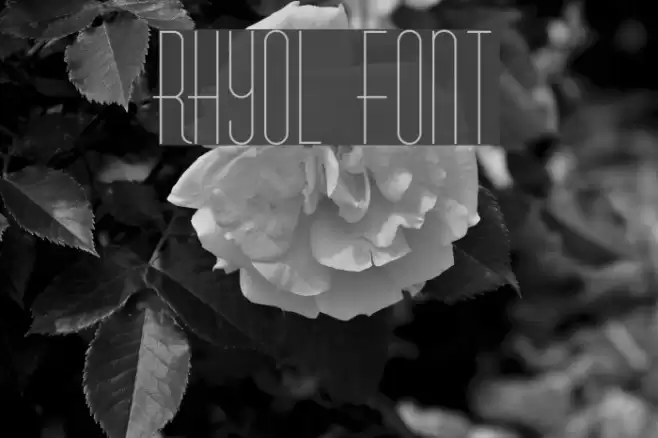 Rhyol Шрифта examples