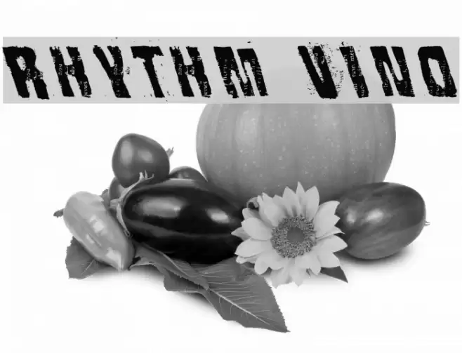 Rhythm Vino Font examples