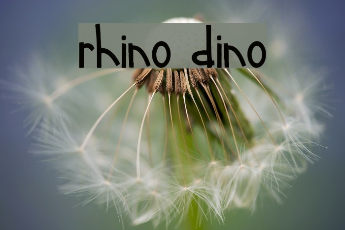 rhino dino Example 1
