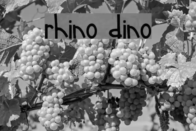 rhino dino Font examples