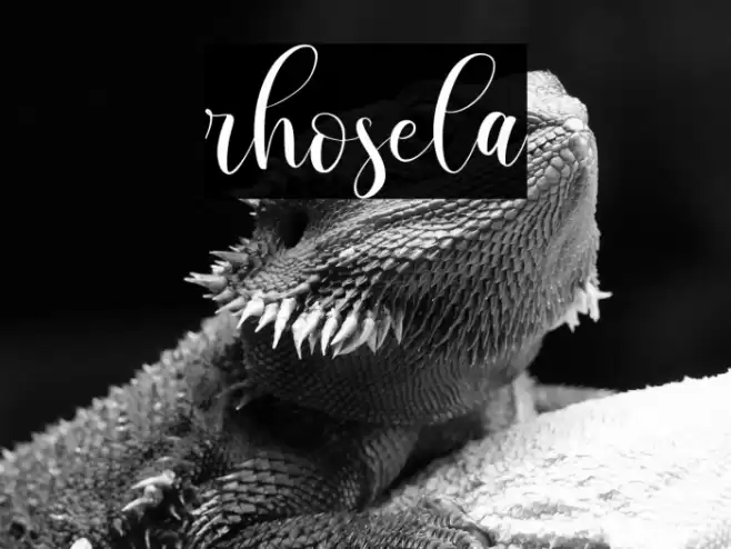 rhosela Font examples