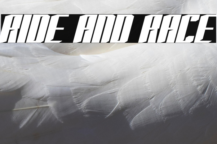 RIDE AND RACE Example 2