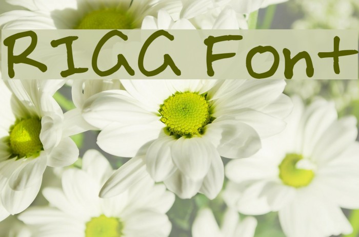 RIGG Font Font examples