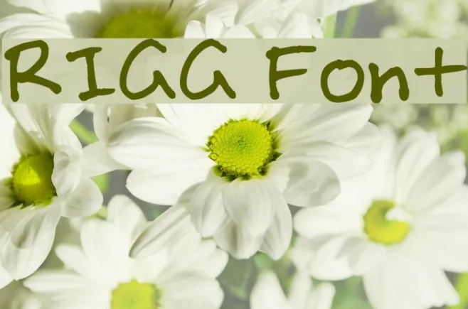 RIGG Font Example 1