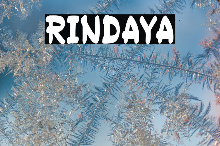 RINDAYA Example 1