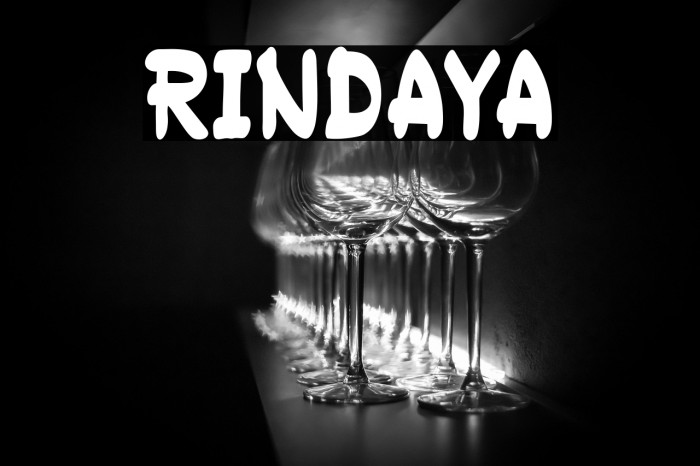 RINDAYA Example 3