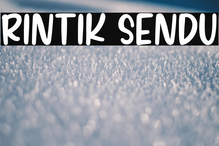 RINTIK SENDU Example 1
