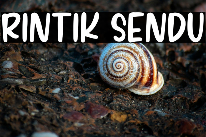 RINTIK SENDU Example 2