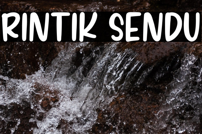 RINTIK SENDU Example 3