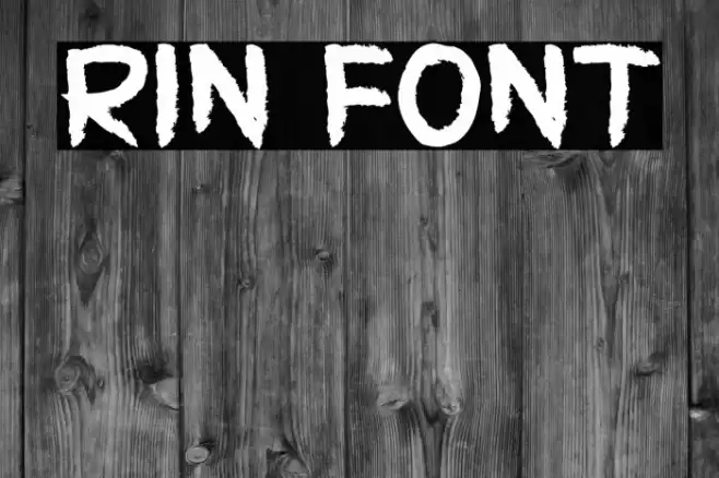 RIN Font examples