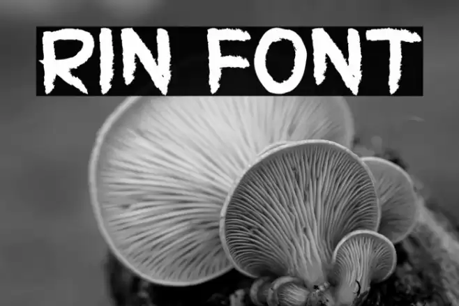 RIN Font examples