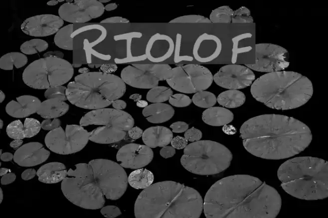 RIOLO Font examples