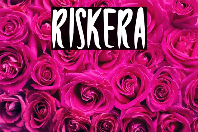 RISKERA Example 2