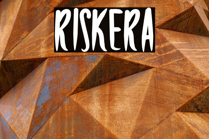 RISKERA Example 3