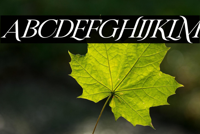 RIVERFLOWS Italic Example 2