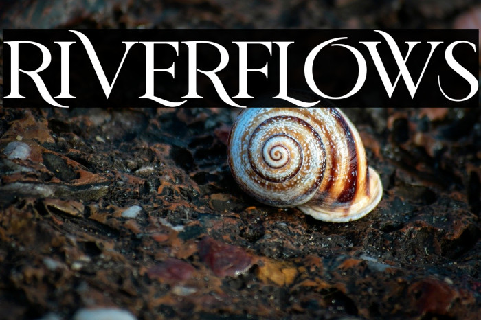 RIVERFLOWS Example 2