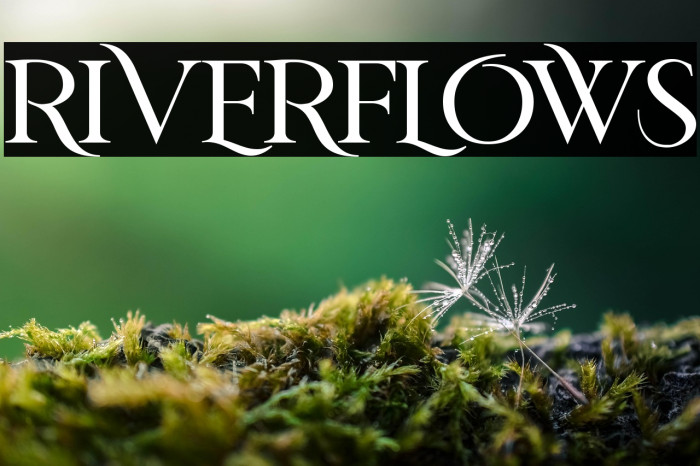 RIVERFLOWS Example 3