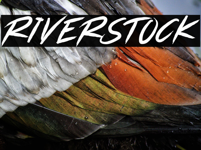 RIVERSTOCK Example 2