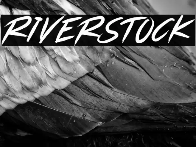 RIVERSTOCK Font examples