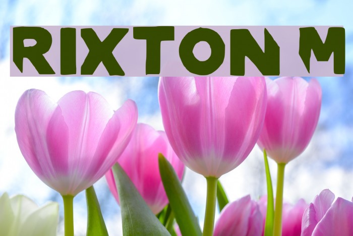 RIXTON Medium Example 1