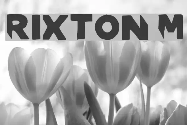 RIXTON Medium Font examples