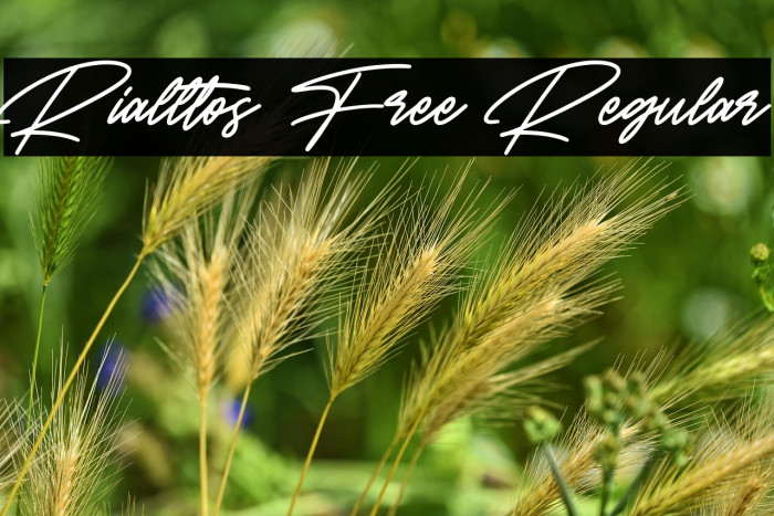 Rialltos Free Regular Example 3