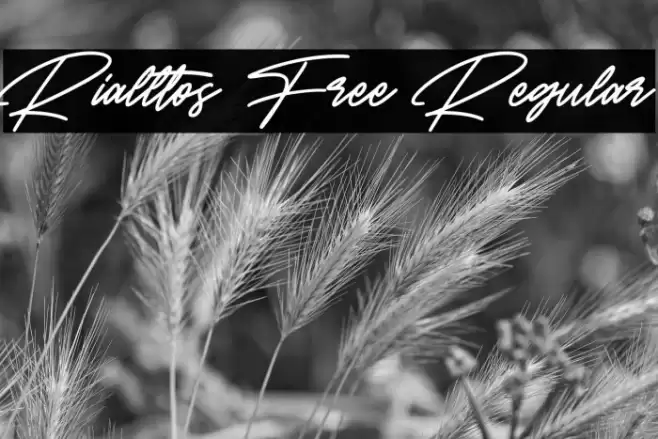 Rialltos Free Regular Font examples