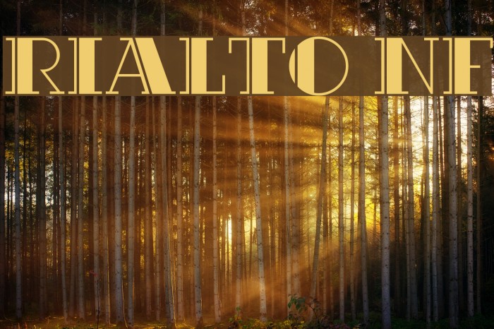 Rialto NF Font examples